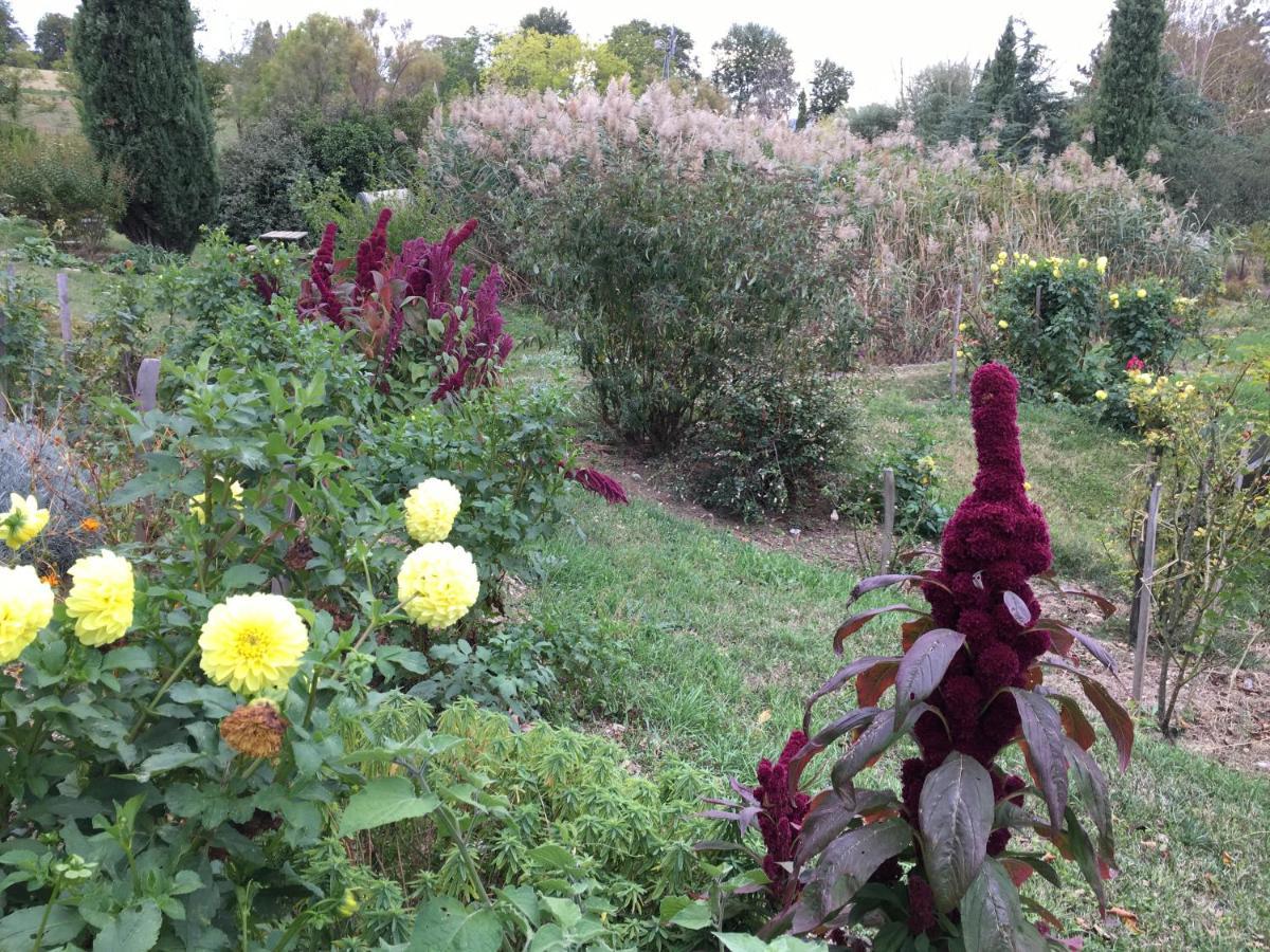 La Source, Vegetarian Guest House Chabeuil Extérieur photo